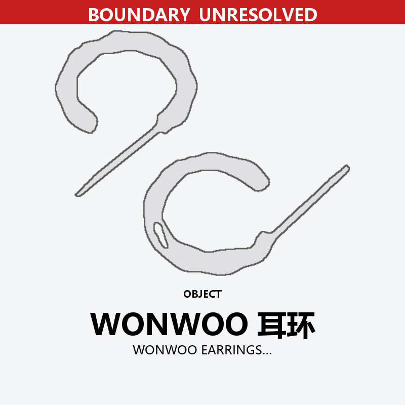 WONWOO EARRINGS